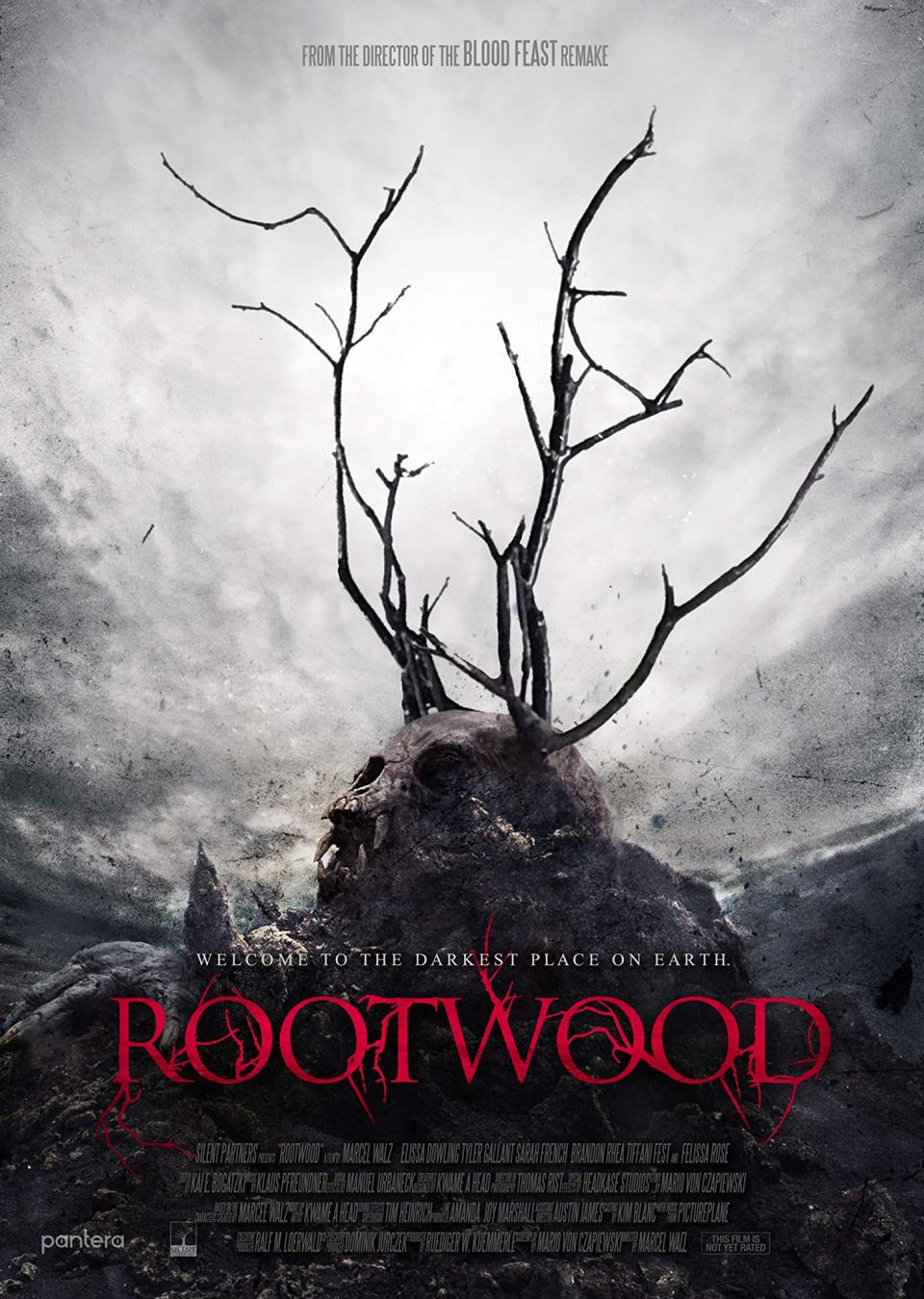 Rootwood - Teaser Poster