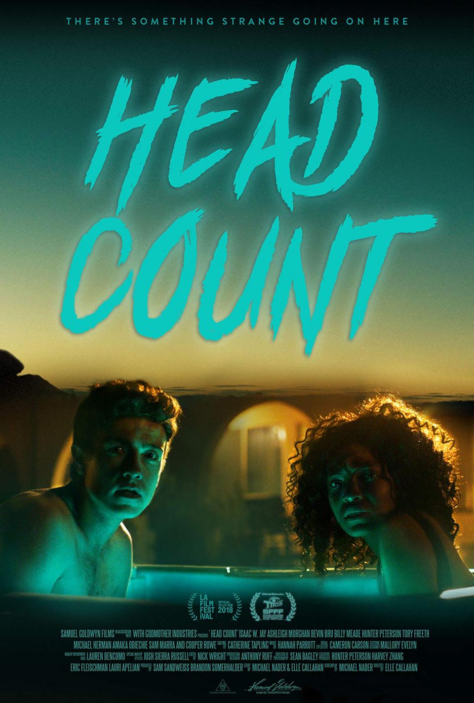Head Count - Teaser Poster