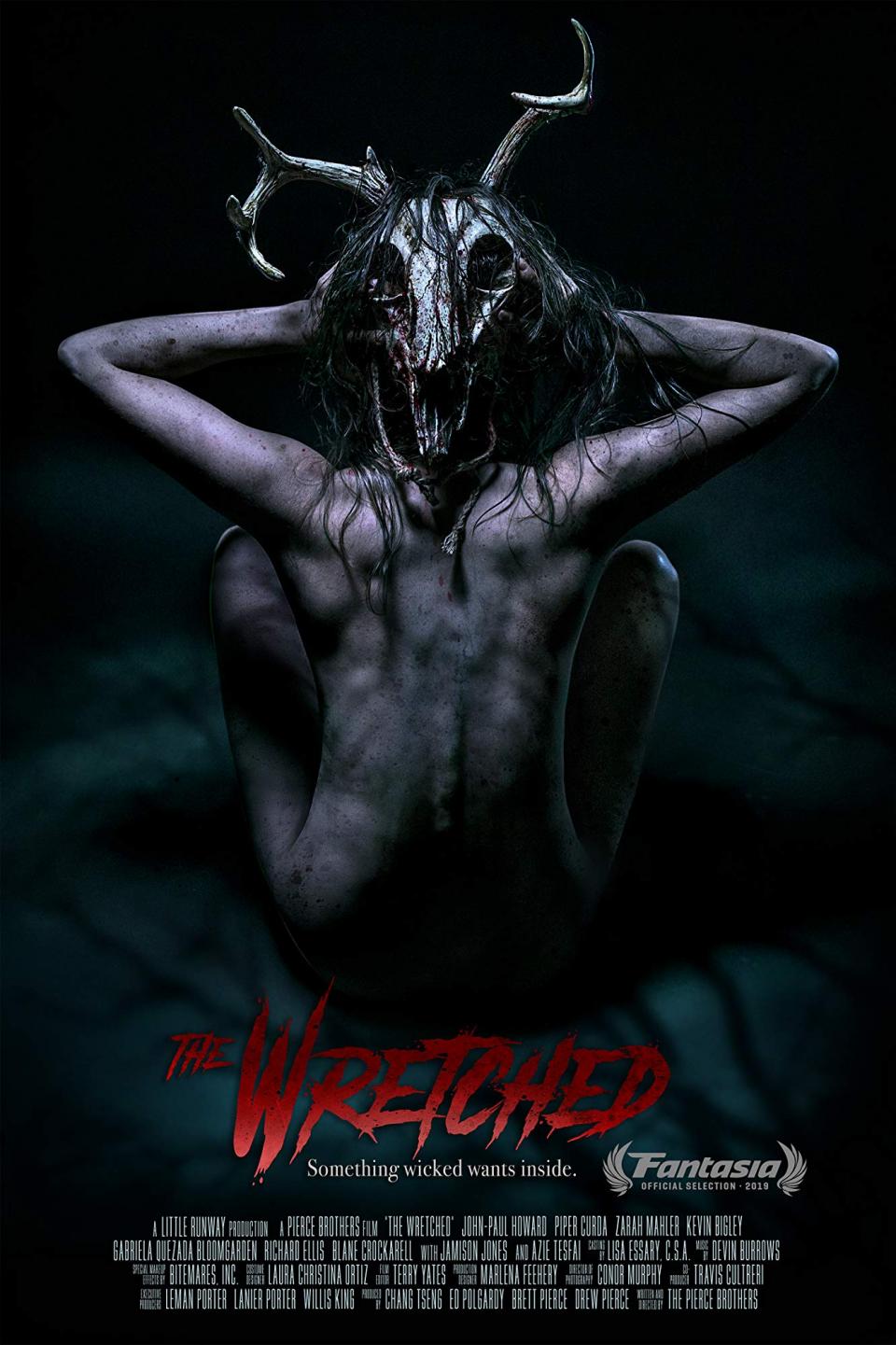 The Wretched - Teaser Poster
