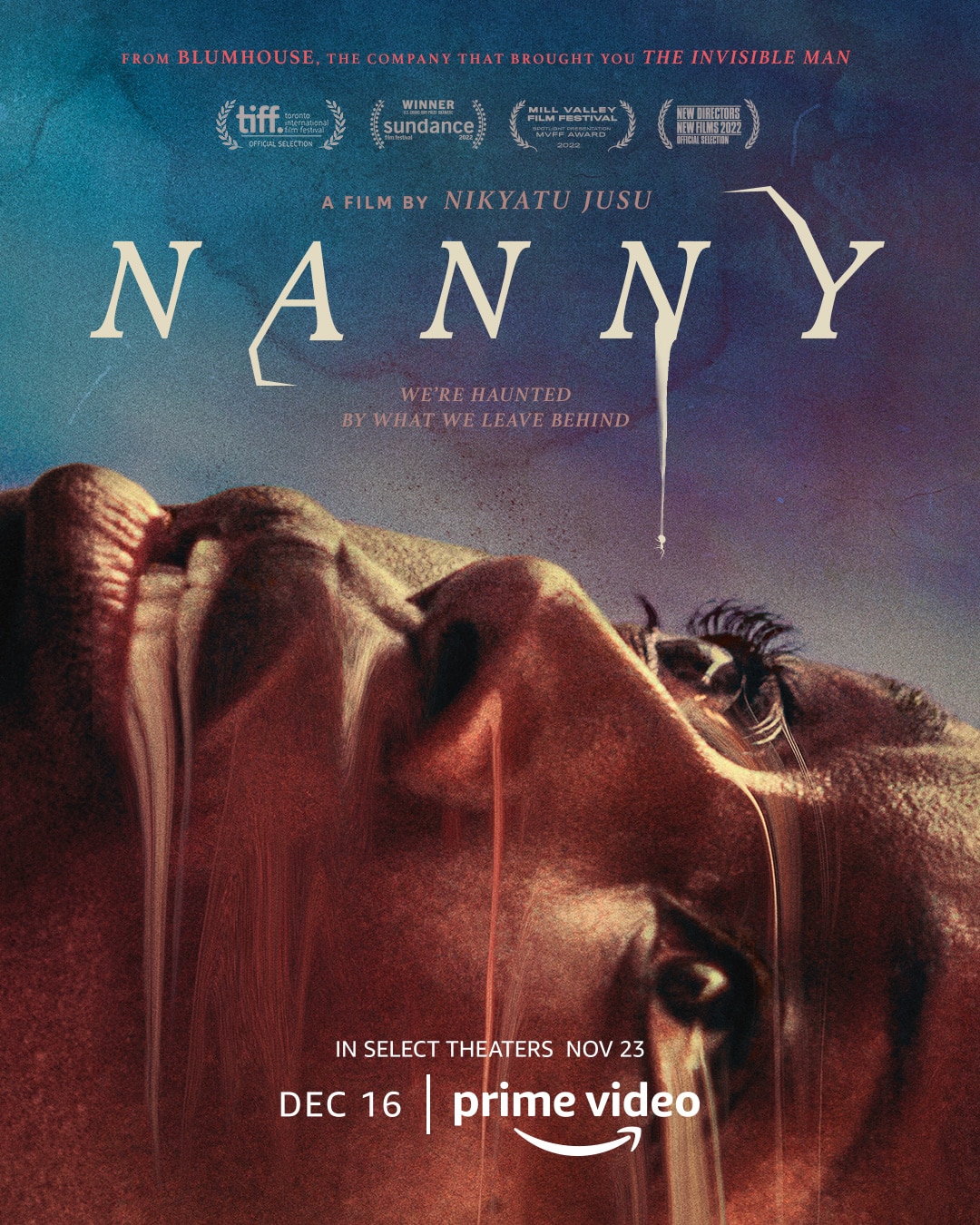 Nanny - Teaser Poster